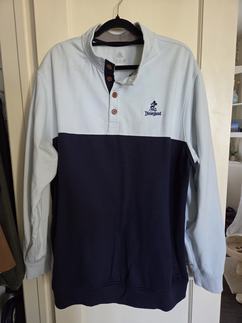 Disneyland Henley Pullover